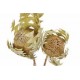 BANKSIA BAXTERII Natural 12"-18" -OUT OF STOCK